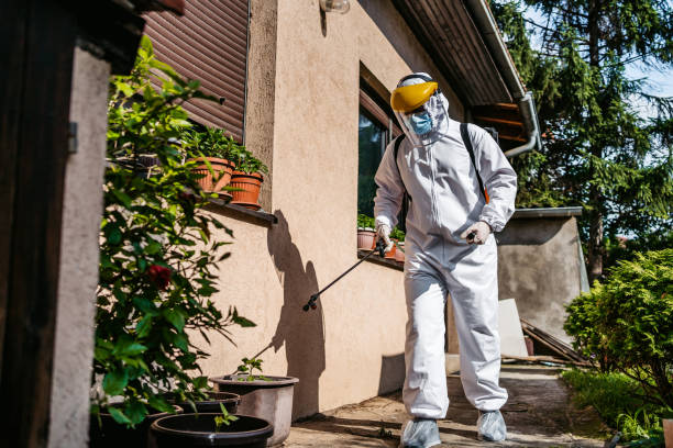 Best Cockroach Control Services  in International Falls, MN