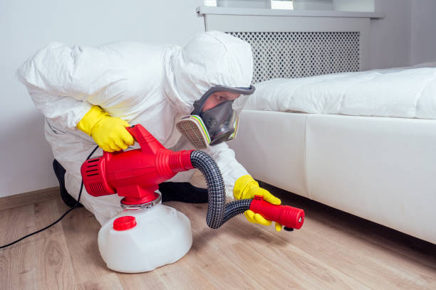 Best Local Pest Control Services  in International Falls, MN