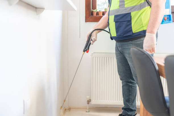 Best Cockroach Control Services  in International Falls, MN
