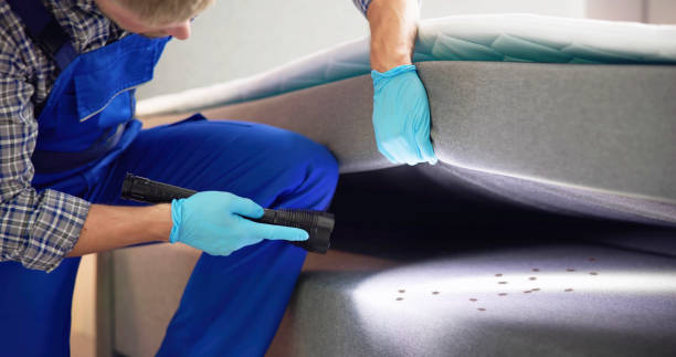 Best Best Pest Control Companies  in International Falls, MN