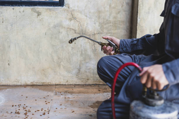 Best Pest Removal Services  in International Falls, MN