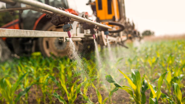 Pest Control Cost in International Falls, MN